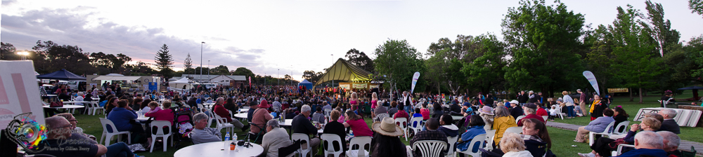 wide view of the 2015 Festival Finale (c) G Berry