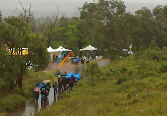 Chooks under a Blue Tarp in the rain at Walk the Zig Zag